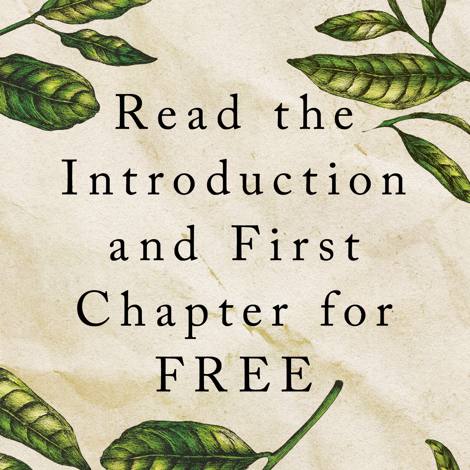 Tea by James R. Fichter | Hardcover | Cornell University Press