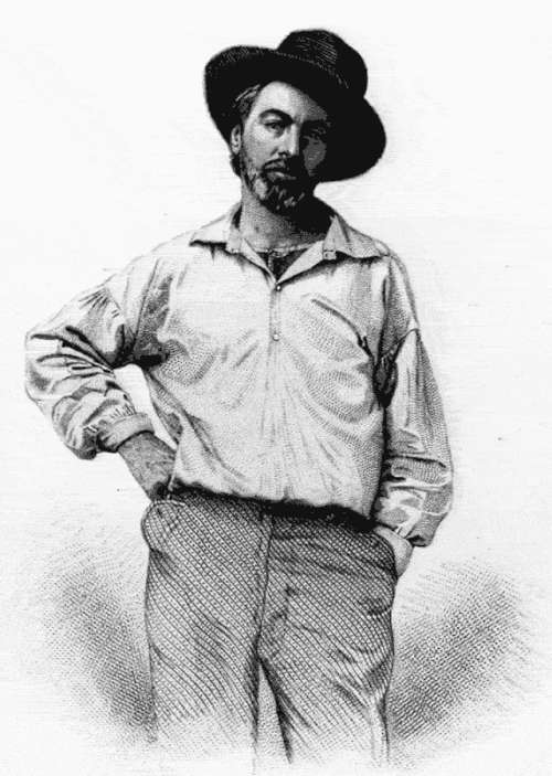 Black-and-white illustration of a bearded man wearing a wide-brimmed hat, loose button-down shirt, and patterned trousers, standing casually with one hand on his hip and the other in his pocket.