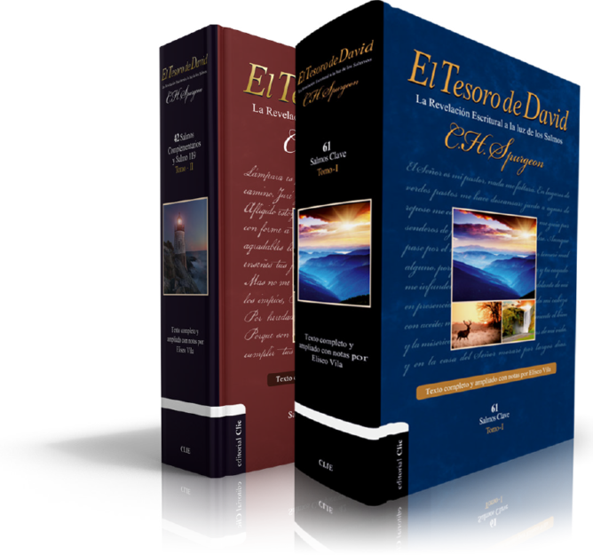 El Tesoro De David Ii Marketing Pages