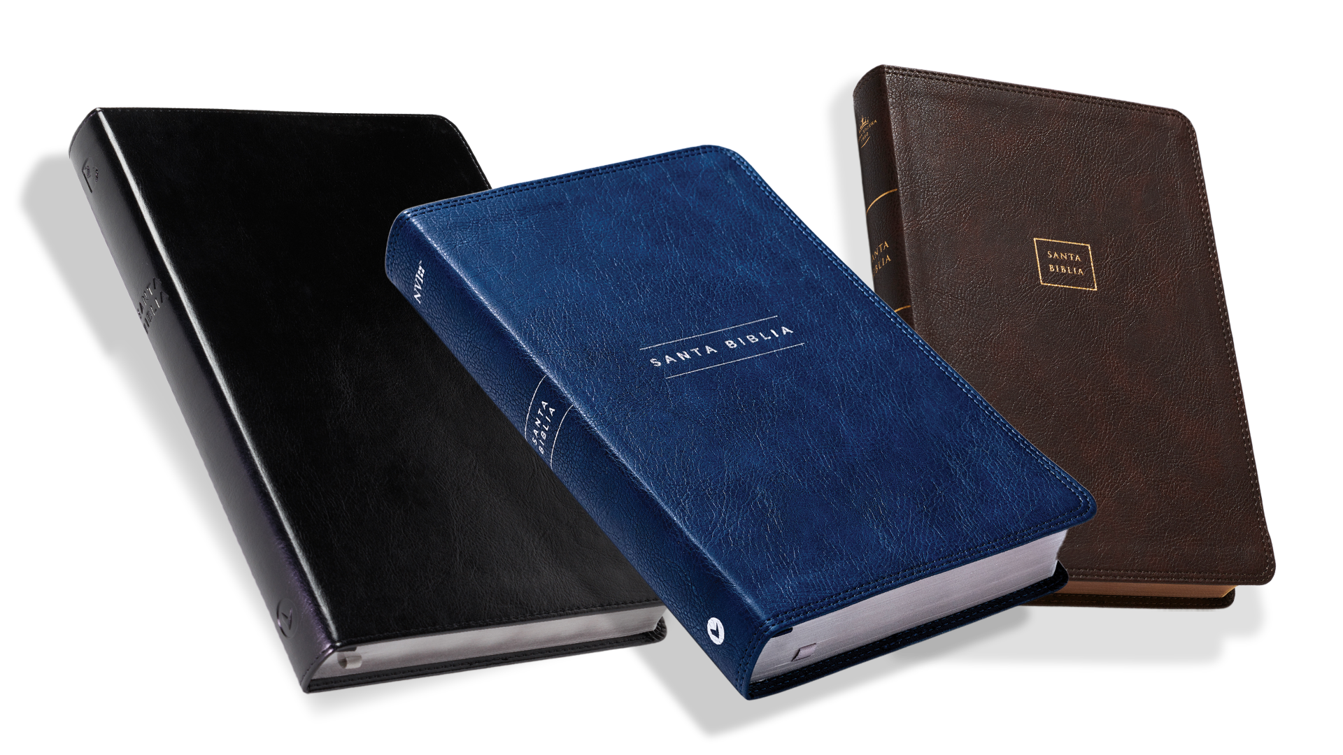 BIBLE BANNER