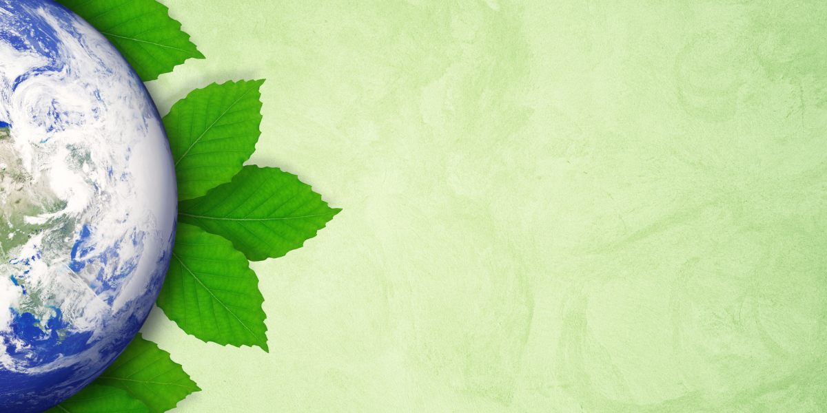 Harvard Education Press Home