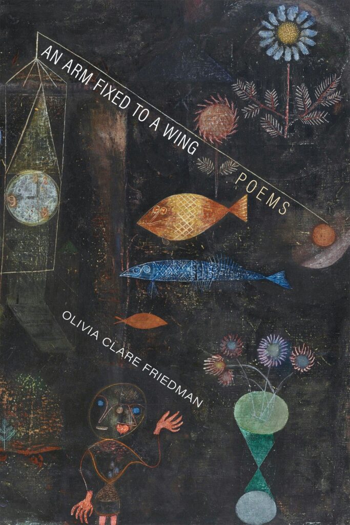 Book cover of An Arm Fixed to a Wing