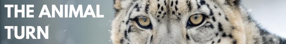 Decorative banner with snow leopard in the background. text says "THE ANIMAL TURN"