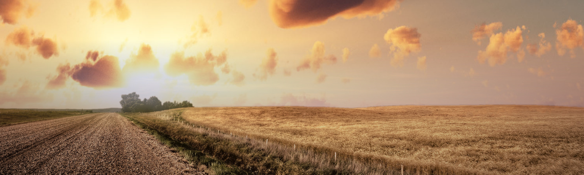 decorative header of a midwestern field