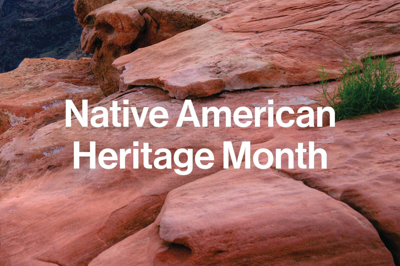 Reflecting on Native American Heritage Month MIT Press