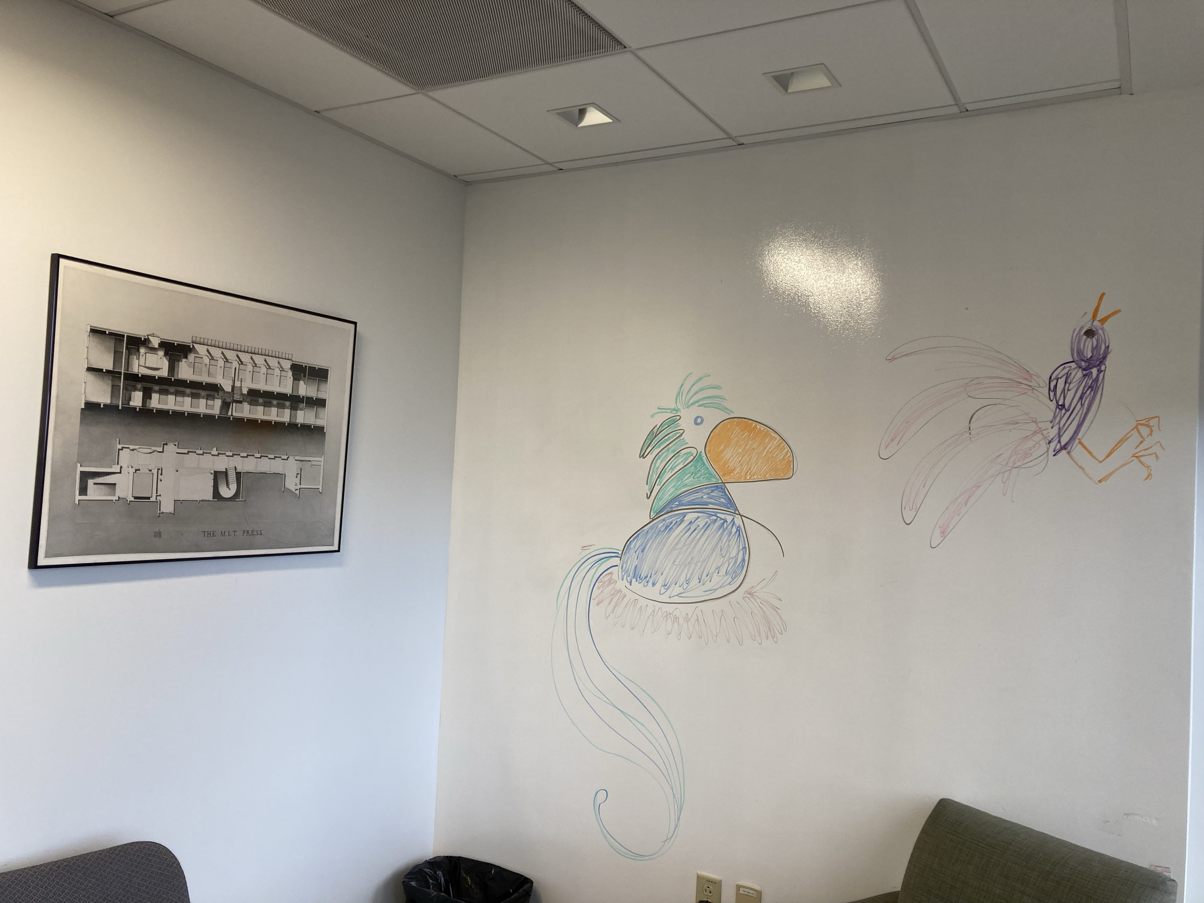 birds drawn in marker on office wall