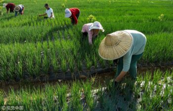 Ecological Civilization, Indigenous Culture, and Rural Reconstruction in China