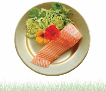 Gastronomica reviews “A Foodie’s Guide to Capitalism”