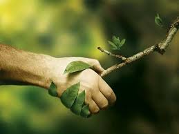“A world worth fighting for”: Agrarian South reviews Creating an Ecological Society