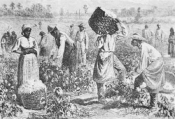 The Progressive Populist reviews The Apocalypse of Settler Colonialism