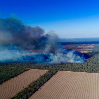 New! The Biofuels Deception: Going Hungry on the Green Carbon Diet