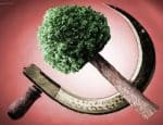 “The Logic of Human Survival”: Against the Current reviews A Redder Shade of Green