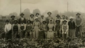 Black and Latino workers in the U.S. are more favorable to unions — Michael Yates talks to Black Agenda Report