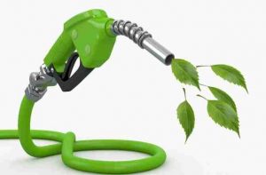 For a new post-capitalist world: ResoluteReader reviews “The Biofuels Deception”