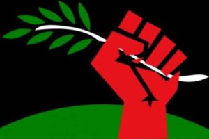 Red Green Labour reviews “Karl Marx’s Ecosocialism” by Kohei Saito
