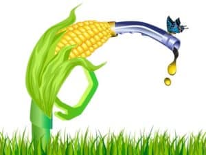 Sensible use of crops? Burn them: “The Biofuels Deception” reviewed by Counterfire