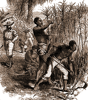 “Timely anachronism”–New West Indian Guide reviews “The Apocalypse of Settler Colonialism”