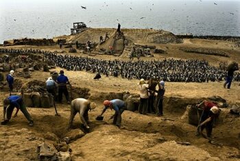 New! “The Robbery of Nature: Capitalism and the Ecological Rift”