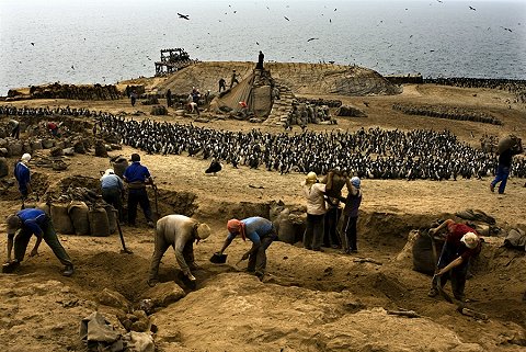 New! “The Robbery of Nature: Capitalism and the Ecological Rift”