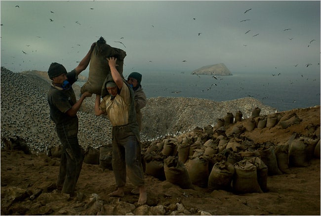 Clarity of ideas and political method: Resolute Reader looks at “The Robbery of Nature”
