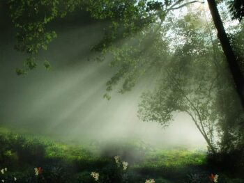 Socialist Review on John Bellamy Foster’s “The Return of Nature: Socialism and Ecology”