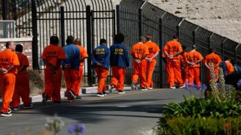 Gerald Horne on The Critical Hour: US Jails Privatizing Inmate Health Care See (Even) Higher Death Rates