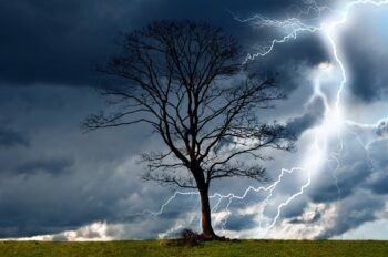 “Global ecologically sensitive socialism”: Left Unity reviews John Bellamy Foster’s “The Return of Nature”