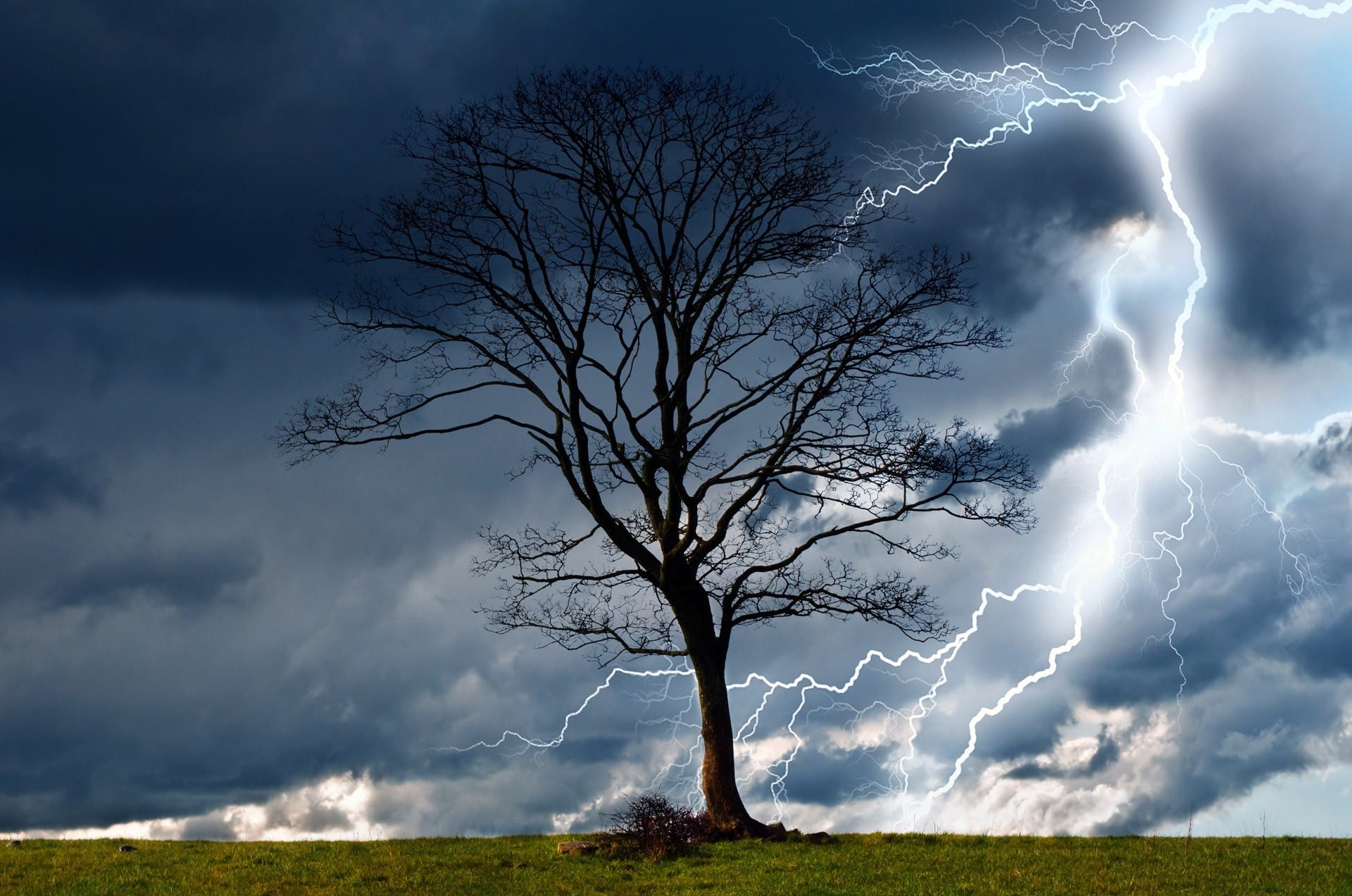 “Global ecologically sensitive socialism”: Left Unity reviews John Bellamy Foster’s “The Return of Nature”