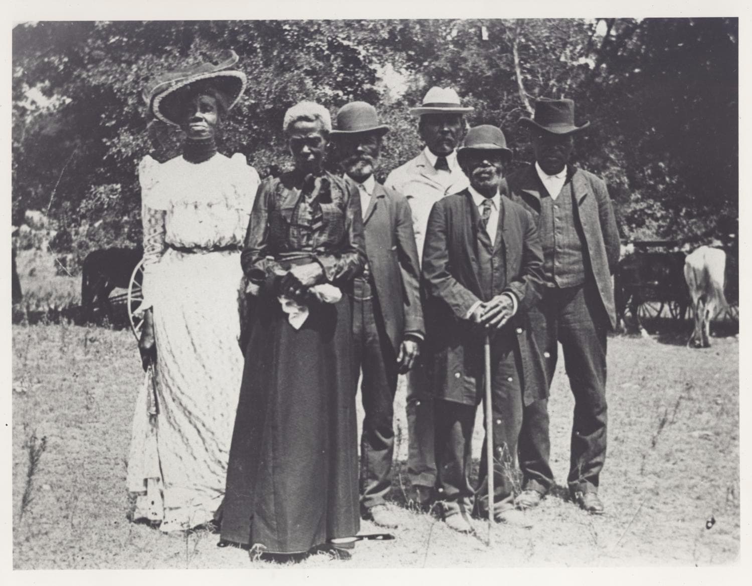 Time to rewrite the history of Juneteenth (Gerald Horne interviewed by The Defender Network)