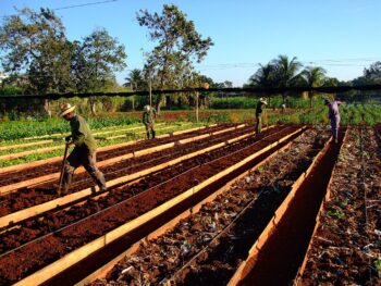 Charting a Communal-Ecological Path: Beyond the Growth Fetish