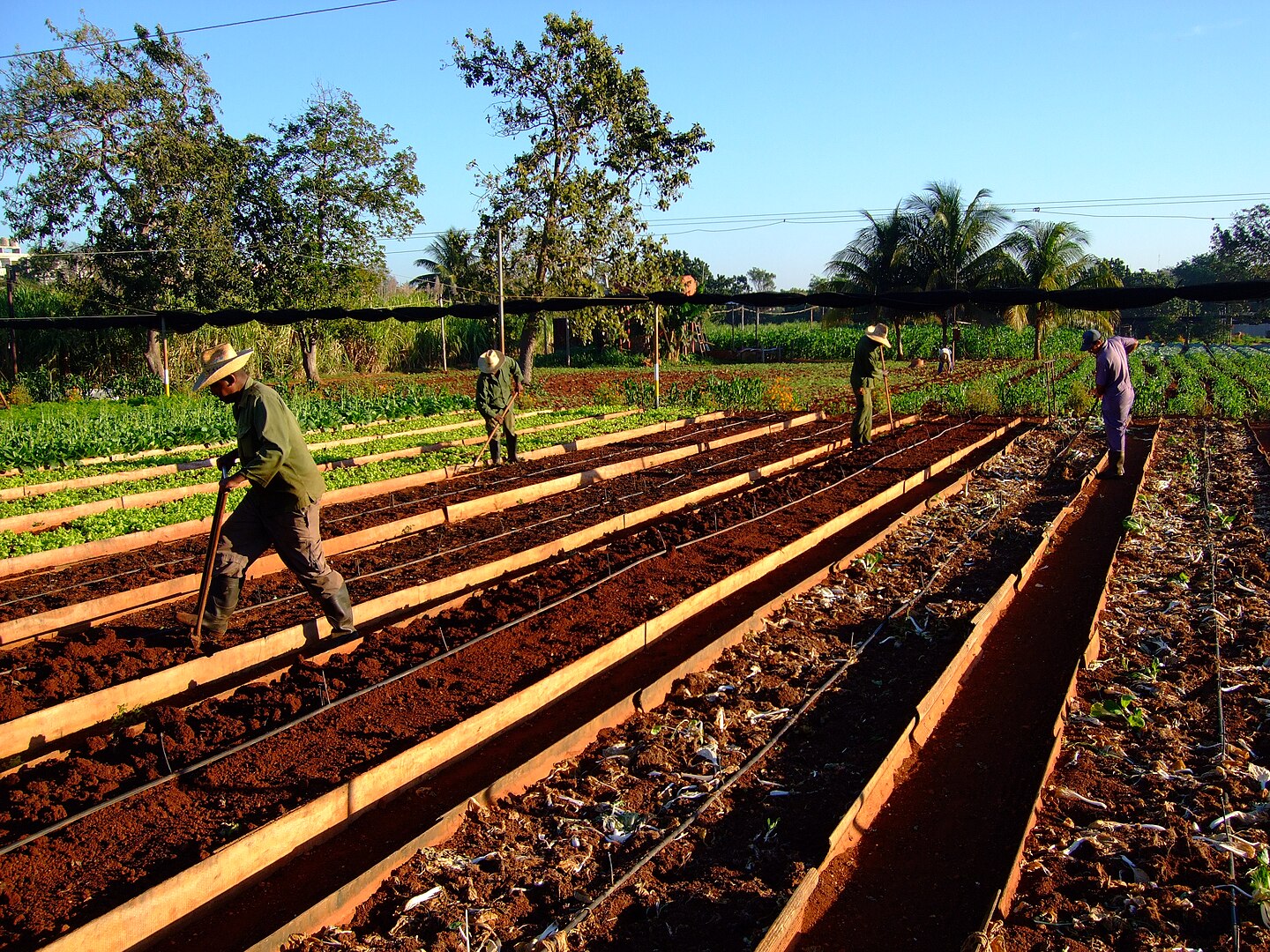 Charting a Communal-Ecological Path: Beyond the Growth Fetish