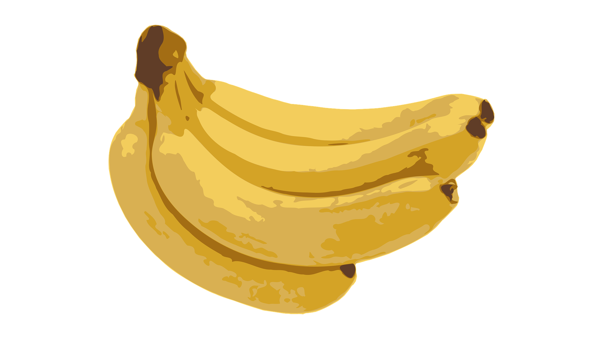 An interview with scholar Tim Dean: We need a Greta Thunberg of sex  education! - NYU Press