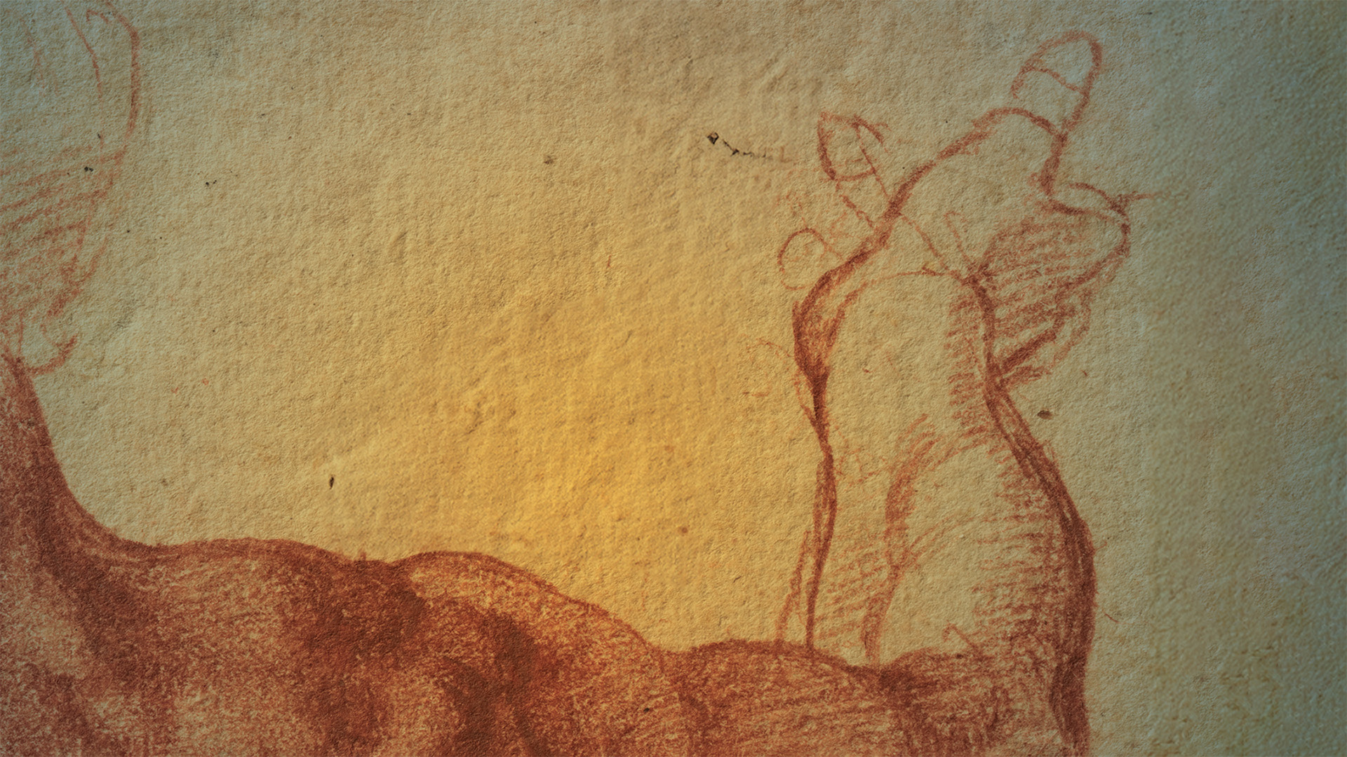 Illustration of an arm.
