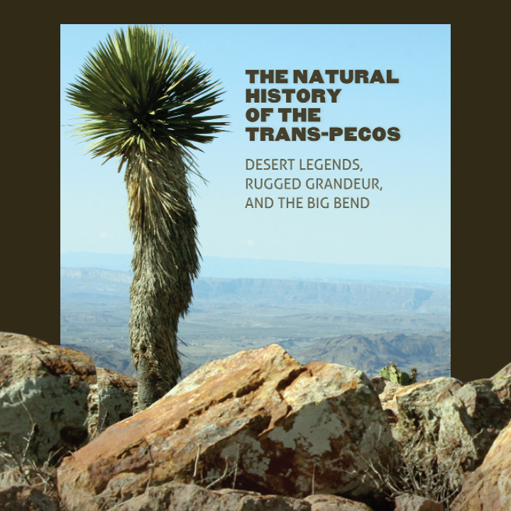 Promotional image for THE NATURAL HISTORY OF THE TRANS-PECOS