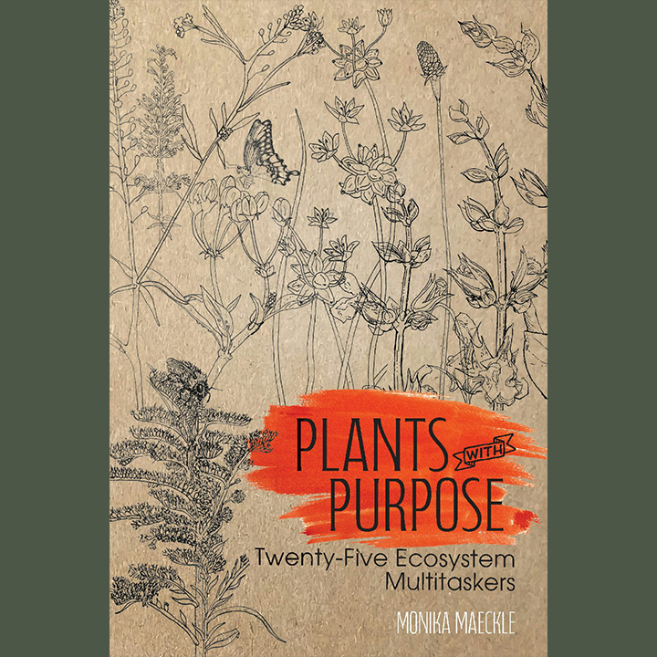 promotional banner for Plants with Purpose