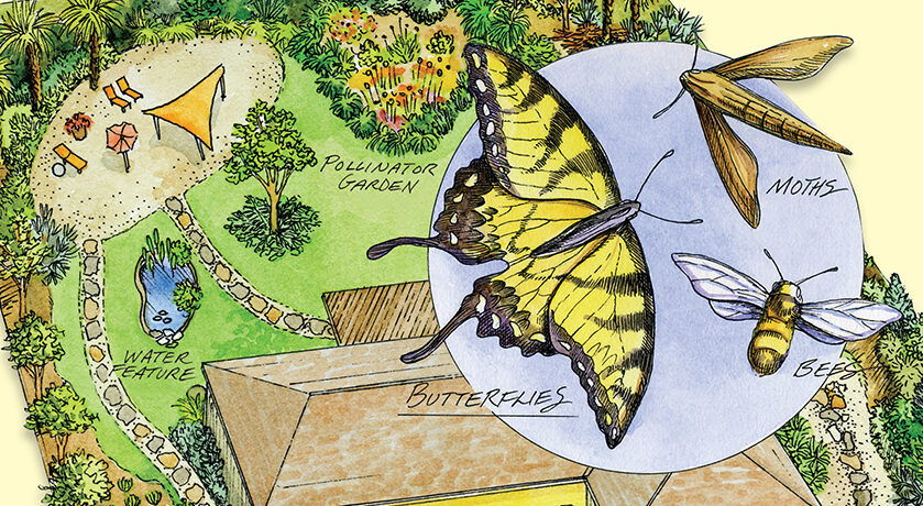 Detail of book cover for A Step-by-Step Guide to a Florida Native Yard