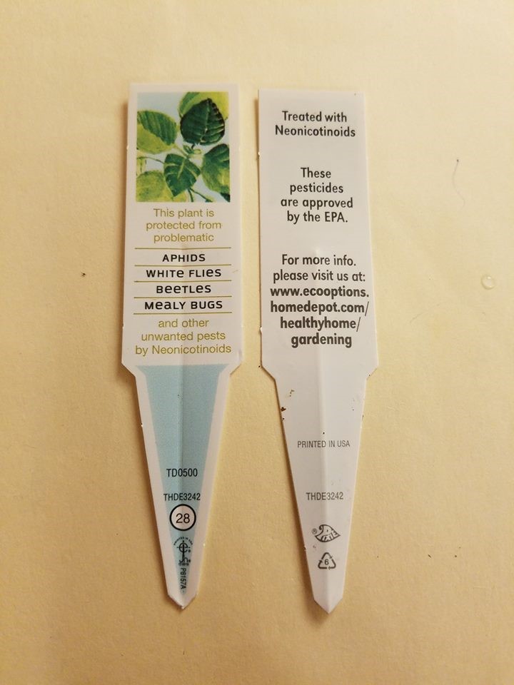 A double sided plant tag. Gold text on the white tag reads, "This plant is protected from problematic" followed by a list in black text that reads, "aphids, white flies, beetles, mealy bugs," then continues in gold text, "and other unwanted pests by Neonicotinoids." Black text on the other side of the tag reads, "Treated with Neonicotinoids. These pesticides are approved by the EPA. For more information, please visit us at" and in bold text continues, "www.ecooptions.homedepot.com/healthyhome/gardening."