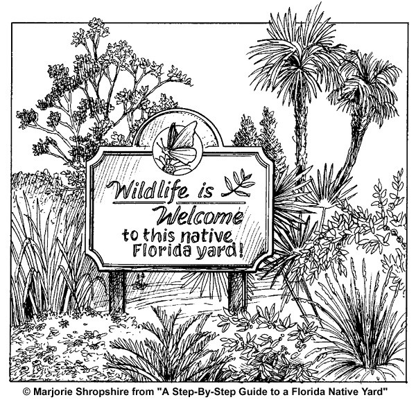 An illustration of a Florida native yard with a sign that reads "Wildlife is welcome to this native Florida yard!" A butterfly perched on top of a plant features prominently in the sign.