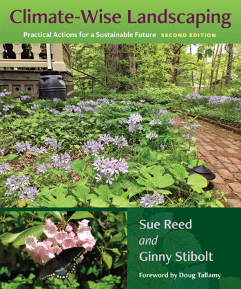 Ginny Stibolt at the University of North Florida