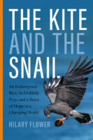 Kite_and_the_Snail_RGB-133x200.jpg