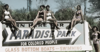 Stephen Towns Remembers Paradise Park