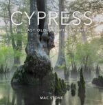 Book cover: Cypress: The Last Old-Growth Swamps, by Mac Stone.