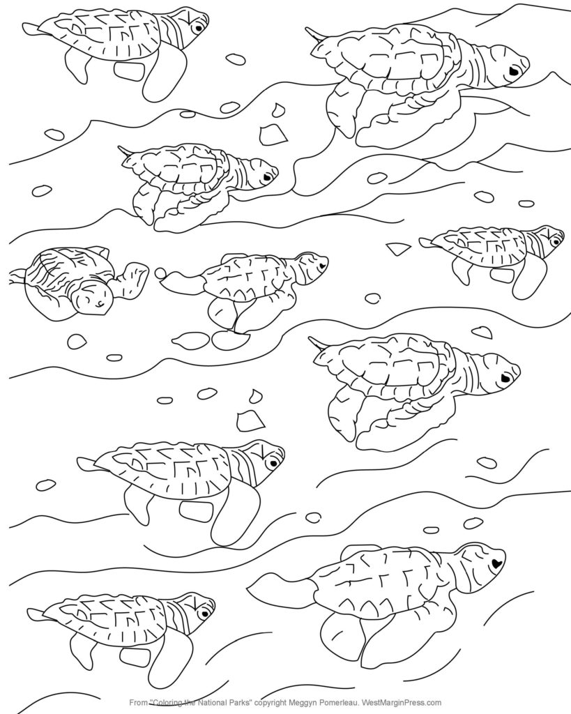 ColoringNationalParks_Meggyn_Pomerleau_Page_1