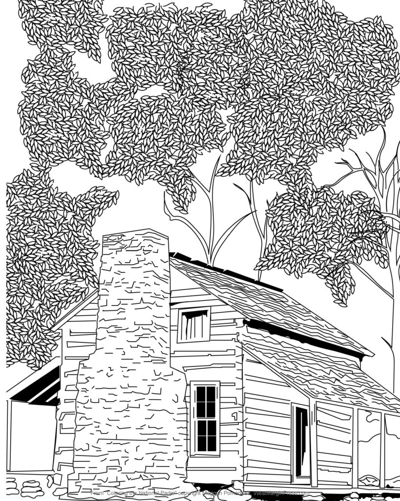 ColoringNationalParks_Meggyn_Pomerleau_Page_2