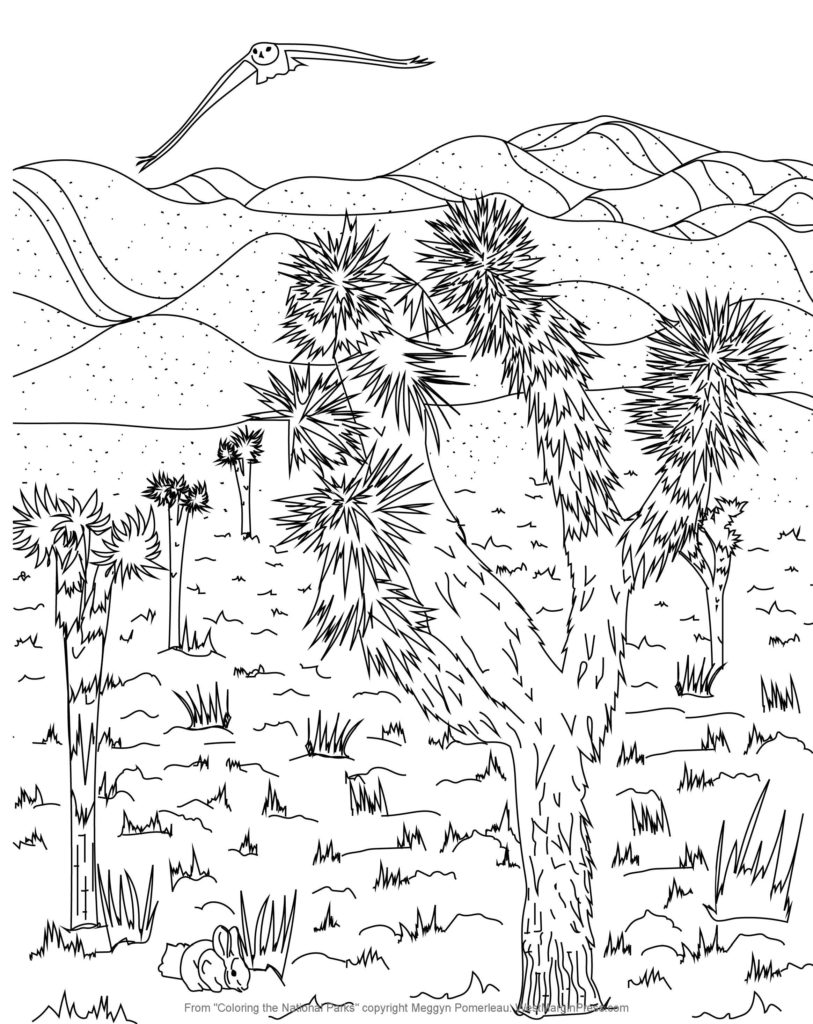 ColoringNationalParks_Meggyn_Pomerleau_Page_3