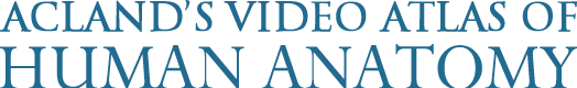 Acland's video atlas of human anatomy