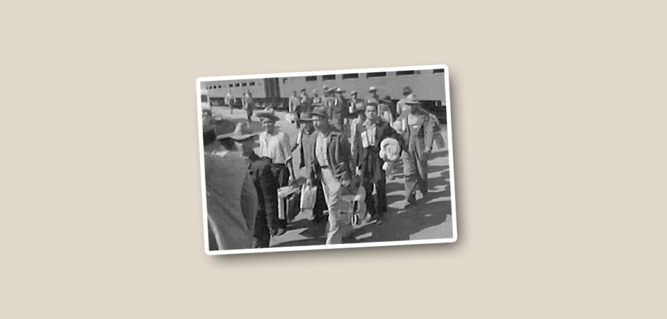 Love in the Time of Operation Wetback Yale University Press